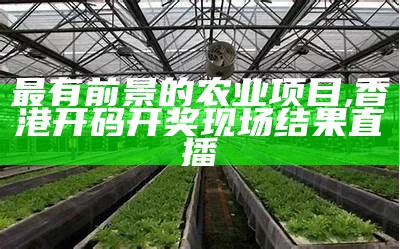 最有前景的农业项目, 管家婆的资料免费公开