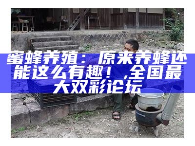 蜜蜂养殖：原来养蜂还能这么有趣！, 全国最大双彩论坛