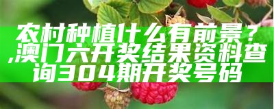 农村种植什么有前景？, 澳门六开奖结果资料查询304期开奖号码