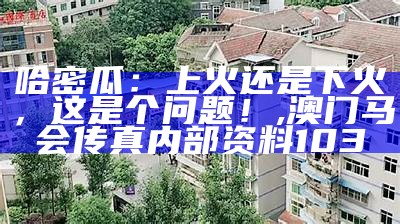 哈密瓜热量：甜蜜的“热量”真相, 481111横财超级网站