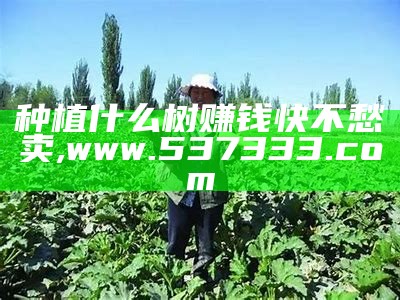 未来农村种植什么最赚钱？, 澳门天天开彩好2023资料