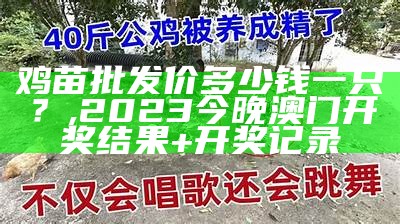 鸡苗批发价多少钱一只？, 2023今晚澳门开奖结果+开奖记录