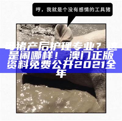 母猪产后护理专业？这是闹哪样！, 澳门正版资料免费公开2021全年