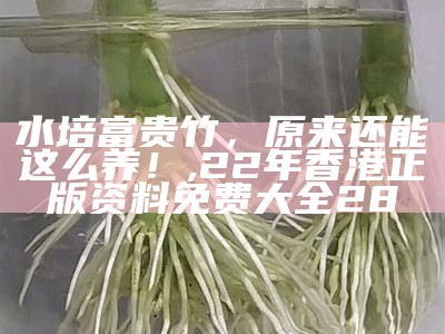 水培富贵竹，原来还能这么养！, 22年香港正版资料免费大全28