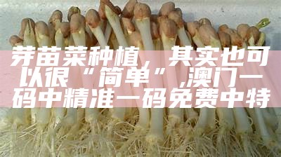 芽苗菜种植，其实也可以很“简单”, 澳门最全的资料网