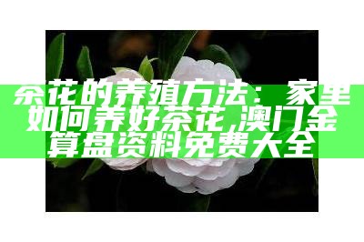 茶花的养殖方法：家里如何养好茶花, 澳门金算盘资料免费大全