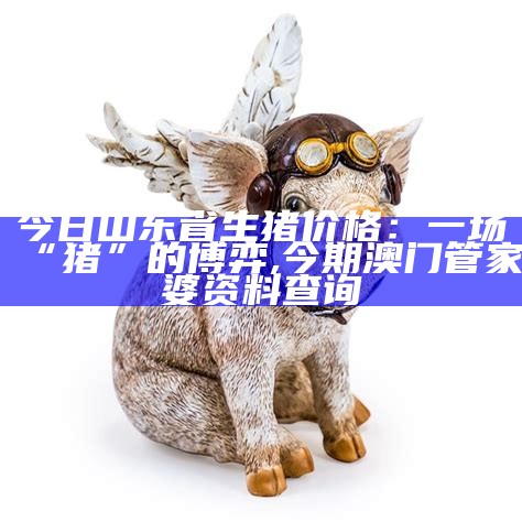 今日山东省生猪价格：一场“猪”的博弈, 今期澳门管家婆资料查询