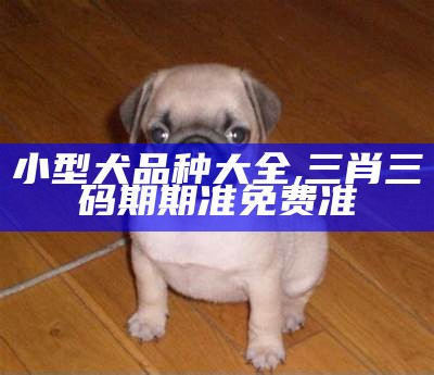 小型犬品种大全, 三肖三码期期准免费准