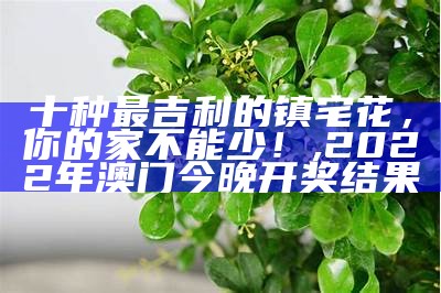 十大最不吉利的花, 576969解码会传真