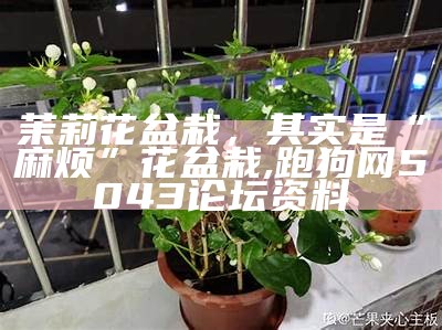 茉莉花盆栽，其实是“麻烦”花盆栽, 跑狗网5043论坛资料