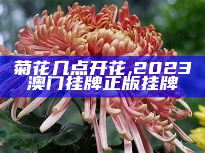 菊花几点开花, 2023澳门挂牌正版挂牌