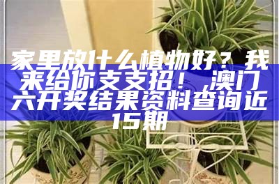 家里放什么植物好？我来给你支支招！, 澳门六开奖结果资料查询近15期