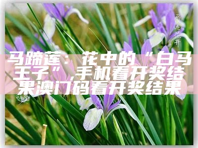 马蹄莲：花中的“白马王子”, 手机看开奖结果澳门码看开奖结果