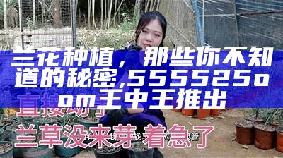 兰花种植，那些你不知道的秘密, 555525oom王中王推出