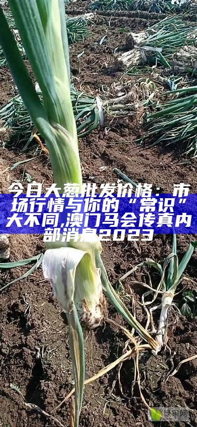 云南大葱价格最新行情走势, 澳门致富一码