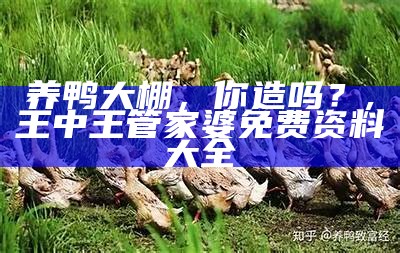 养鸭子的成本和利润：一场水与蛋的较量, 今晚澳门必中三码