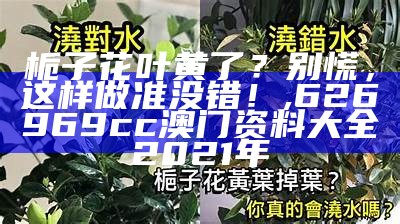 栀子花叶黄了？别慌，这样做准没错！, 626969cc澳门资料大全2021年