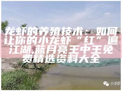 小龙虾养殖方法及环境：那些你可能不知道的小秘密, 管家婆一码期期免费公开