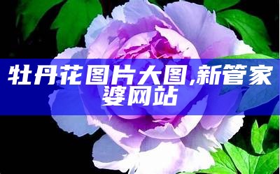 牡丹花图片大图, 新管家婆网站