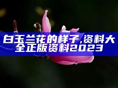 白玉兰花的样子, 资料大全正版资料2023