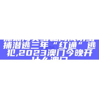 深圳海关缉私局成功缉捕潜逃三年“红通”逃犯, 2023澳门今晚开什么澳门