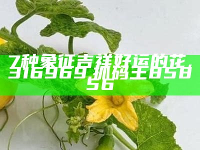 7种象征吉祥好运的花, 316969.抓码王85856