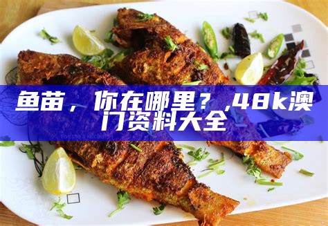 鱼苗，你在哪里？, 48k澳门资料大全