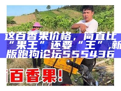 这百香果价格，简直比“果王”还要“王”, 新版跑狗论坛555436