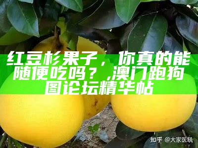 红豆杉果子，你真的能随便吃吗？, 澳门跑狗图论坛精华帖