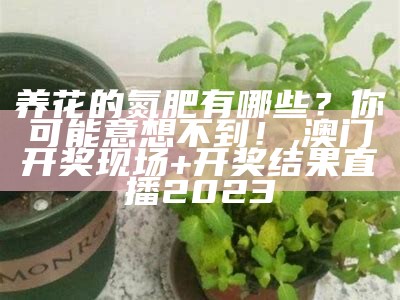 养花的氮肥有哪些？你可能意想不到！, 澳门开奖现场+开奖结果直播2023