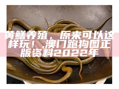 追梦者 第6页