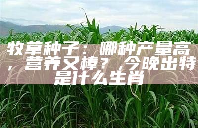 牧草种子：哪种产量高，营养又棒？, 今晚出特是什么生肖