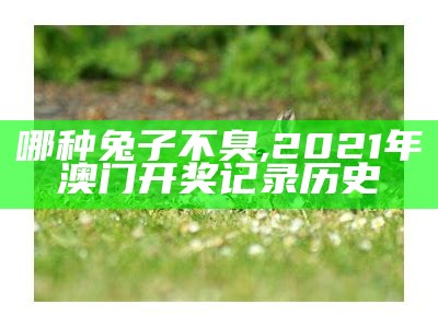 哪种兔子不臭, 2023澳门最新开奖历史结果