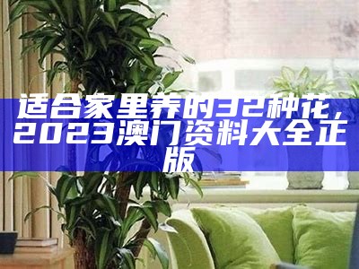 什么花适合在室内养？, 2023今晚澳门开奖结果显示