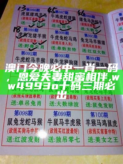 管家婆精准一肖一码100%,广泛的解释落实支持计划_入门版38.156, 香港宝典马会现开奖结果www