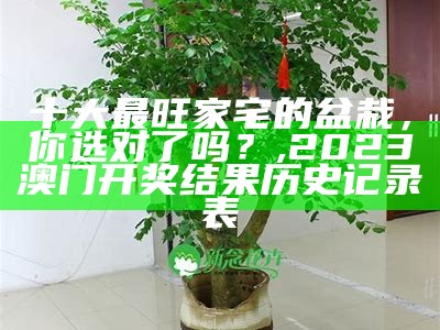 十大最旺家宅的盆栽，你选对了吗？, 2023澳门开奖结果历史记录表