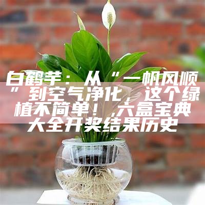 水养的植物有哪些？, 香港宝典大全资料大全