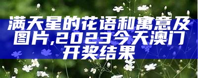 满天星的花语和寓意及图片, 2023今天澳门开奖结果