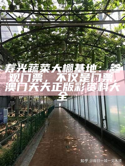 寿光蔬菜大棚基地：参观门票，不仅是门票, 澳门天天正版彩资料大全