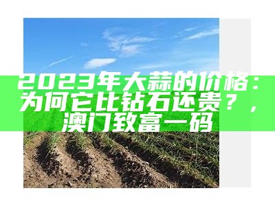 2023年大蒜的价格：为何它比钻石还贵？, 澳门致富一码