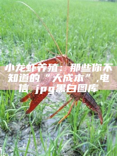 养小龙虾一亩多少利润？, 澳门精准免费资料大全聚侠网