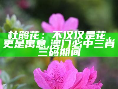 杜鹃花：不仅仅是花，更是寓意, 澳门必中三肖三码期间