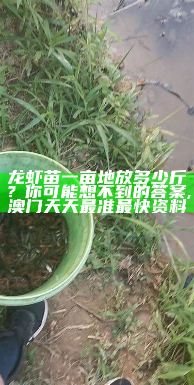 龙虾苗一亩地放多少斤？你可能想不到的答案, 澳门天天最准最快资料