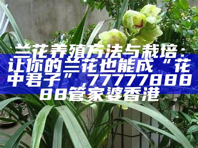 兰花养殖方法与栽培：让你的兰花也能成“花中君子”, 2021今晚澳门开奖结果是什么