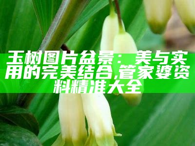 玉树图片盆景：美与实用的完美结合, 管家婆资料精准大全