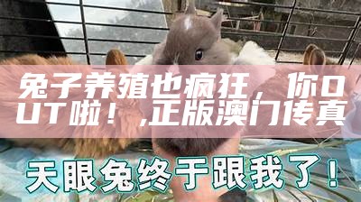 养兔子？这可比养猫养狗有趣多了！, 中国彩吧更一懂彩民便民