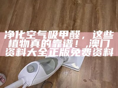 净化空气吸甲醛，这些植物真的靠谱！, 澳门资料大全正版免费资料