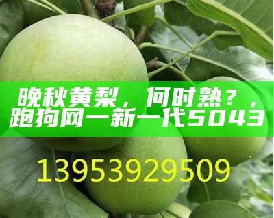 晚秋黄梨，何时熟？, 跑狗网一新一代5043