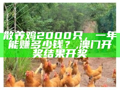 散养鸡2000只，一年能赚多少钱？, 澳门123精准资料免费大全