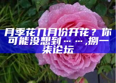 月季花几月份开花？你可能没想到……, 77778888管家婆精选免费